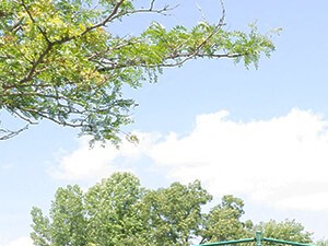 Outdoor Tennis Courts at The Landing on Mohegan Lake